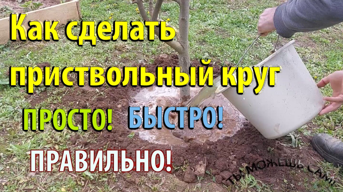 Как сделать приствольный круг правильно, просто и быстро!