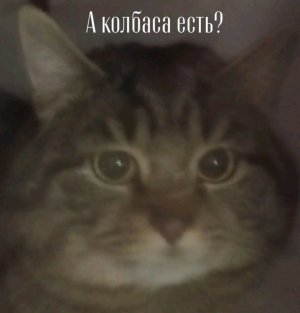 трансляция