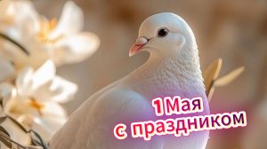 Доброе утро 1 Мая: с праздником и удачных выходных | Домохозяйка