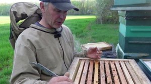Расширение гнезда пчел ,вторым гнездовым корпусом.