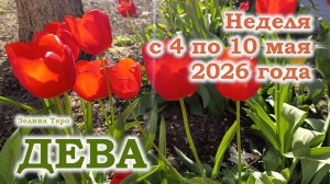 ДЕВА | ТАРО прогноз на неделю с 4 по 10 мая 2026 года