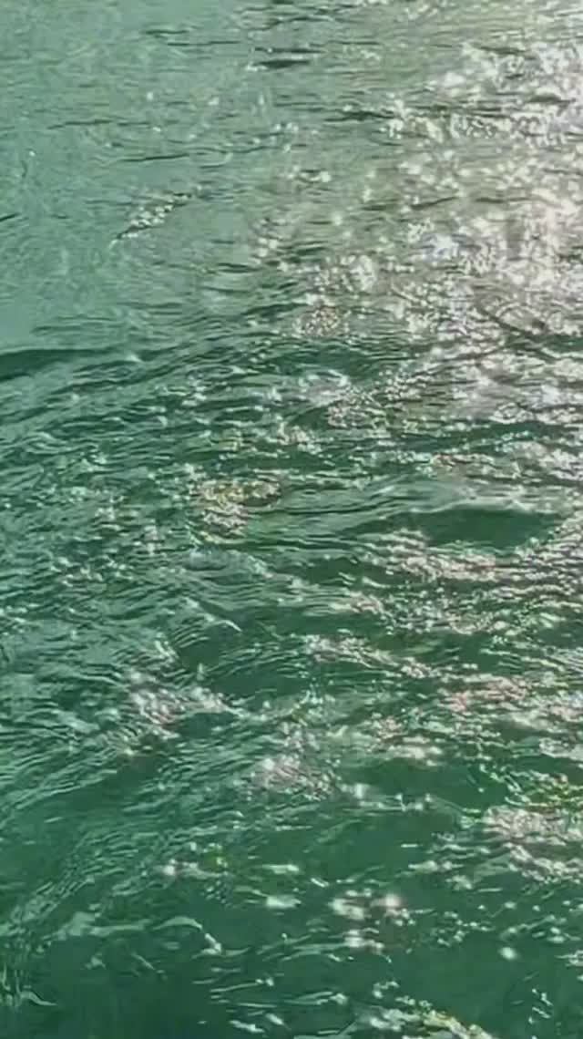 вернулись без сил! Полное видео на канале