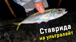 Ловля ставриды на ультралайт. Как я встретил первомай на рыбалке в Сочи.