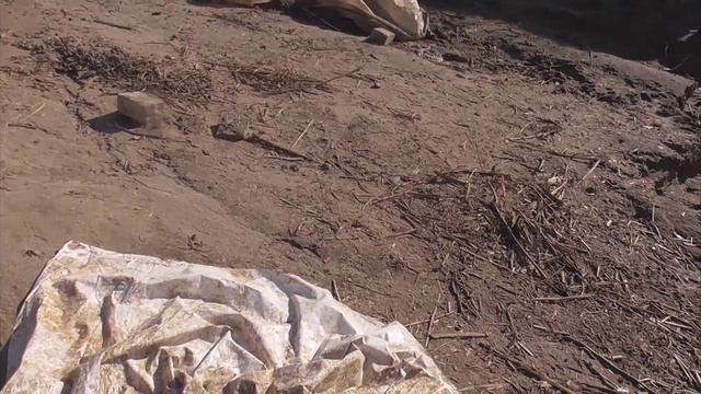 Мой фильм  Обстановка на берегу залива. 30. 04. 26 год