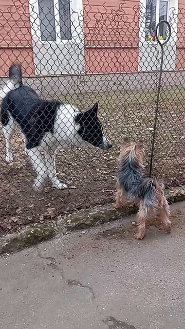 Аида и Мэри общаются
