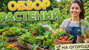 1 Мая, Праздник Весны, труда и мира. А я на огородах: в Дубоссарах, в Тирасполе