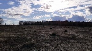 Металлокоп. Вечерний поиск на поле. Пятый выезд. #74