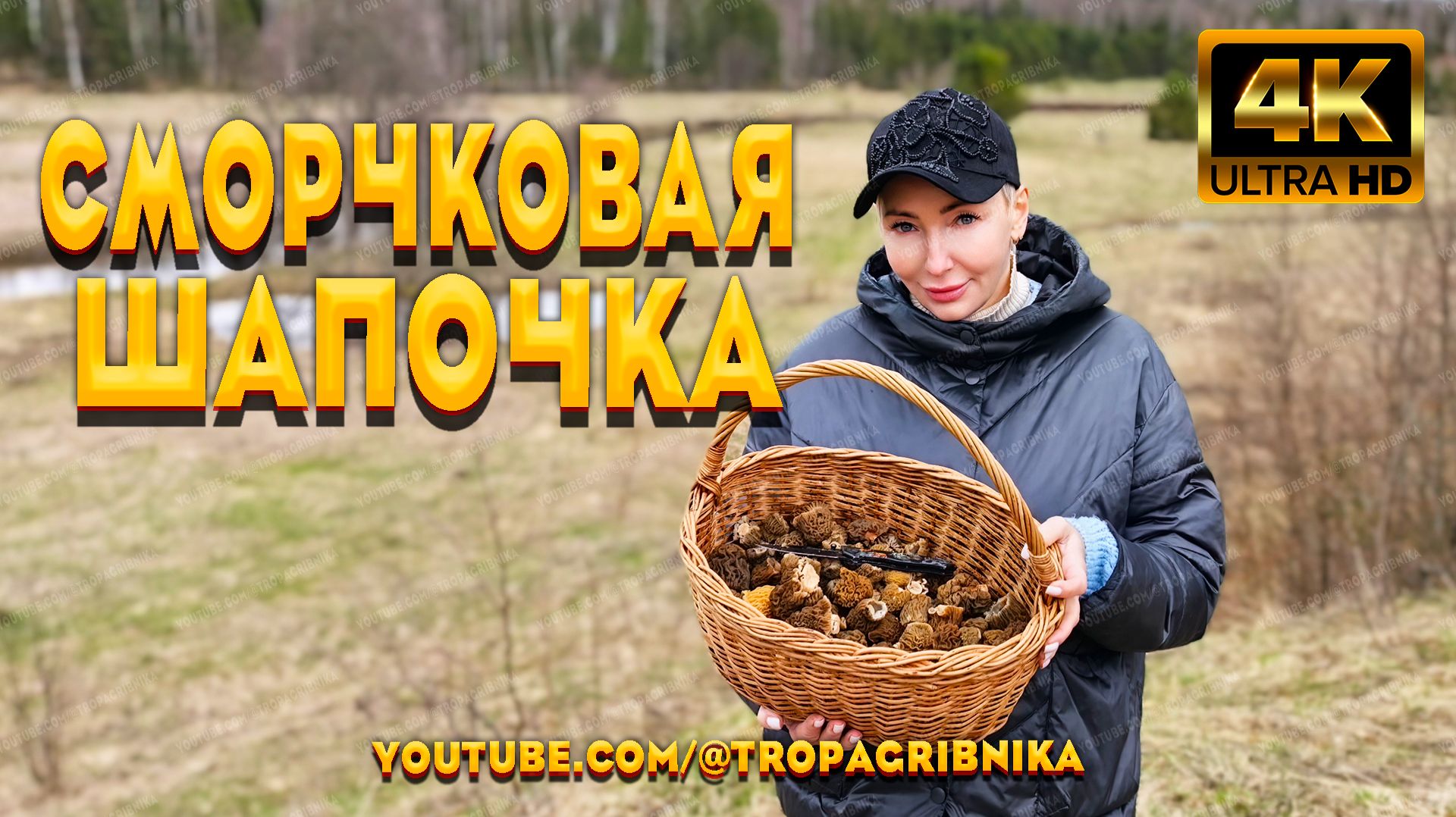 🍄 Такого Сбора Грибов Мы Не Ожидали! Грибники В ШОКЕ От Сморчковой Шапочки 🔥🧺 Verpa Bohemica 🌲 смотреть онлайн