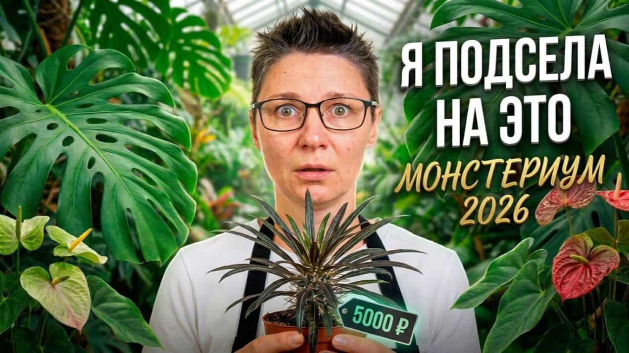 Я ПОПАЛА В ЗАКРЫТЫЙ МИР ЛЮБИТЕЛЕЙ РАСТЕНИЙ. Монстериум изнутри