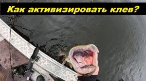 Смена приманки приносит успех.