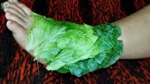 Листья хрена польза и вред