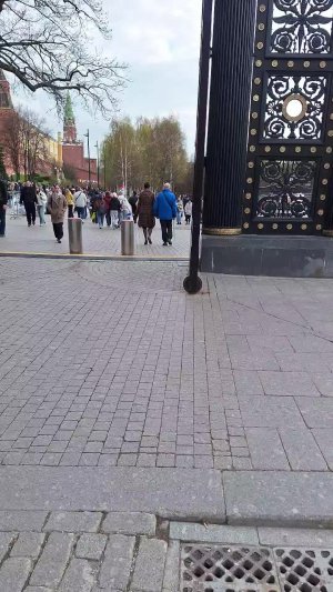 Александровскмй сад