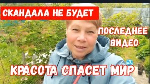 245🏡Последнее видео/Красота спасет мир