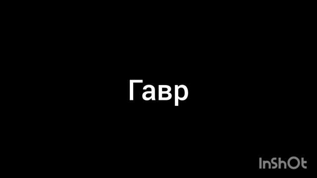 гавр смотреть онлайн