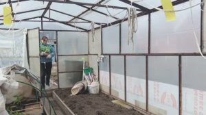 26.04.2026/ рассада в теплице