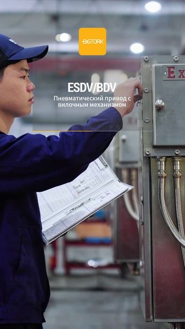 ESDV(BDV) Пневматический привод с вилочным механизмом-BIGTORK VALVE AUTO MATION
