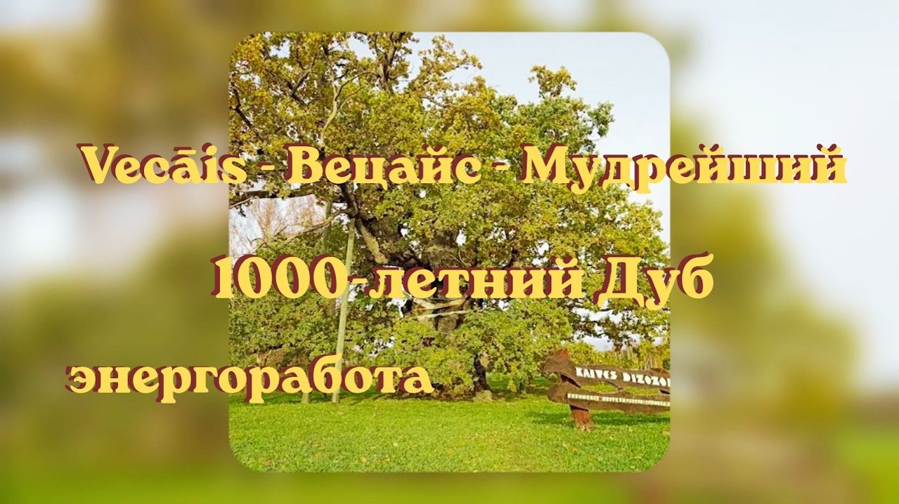 Мудрейший - Vecāis - Вецайс. 1000-летний Дуб. Энергоработа. #вселеннаяя #энергоработа #бельтайн