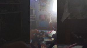 izoleut 3