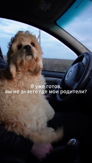 Я уже готов, вы не знаете где мои рдители?