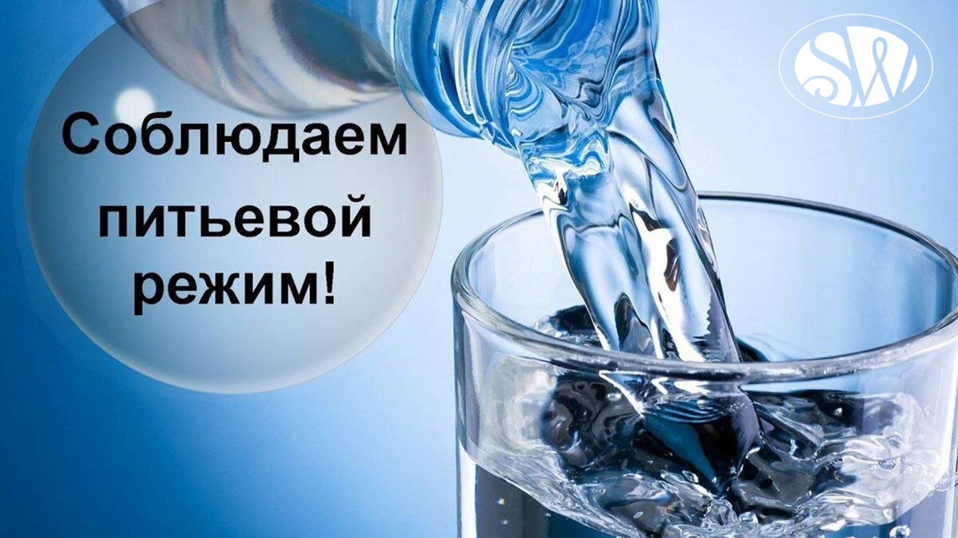 Что значит вода для организма