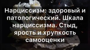 Нарциссизм: здоровый и патологический. Шкала нарциссизма. Стыд, ярость и хрупкость самооценки