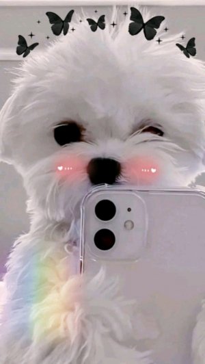 я ночю