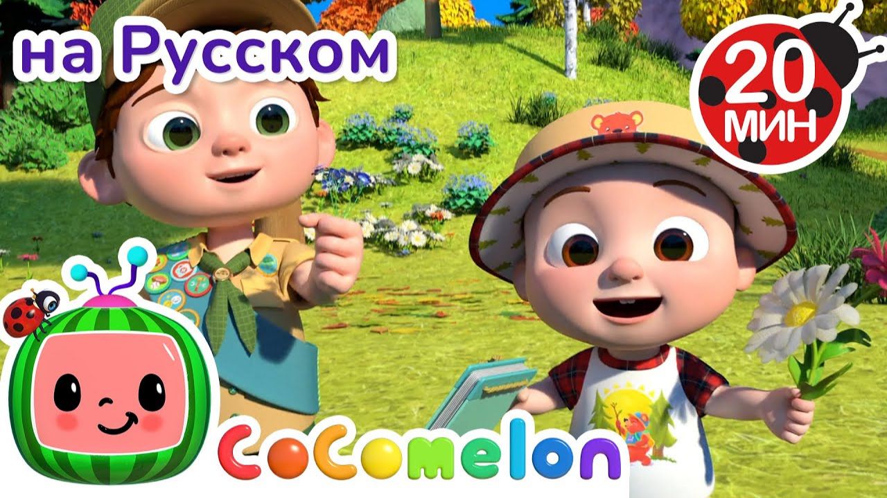 В путь с Джей-Джеем и Бинго — узнаём природу! 🌿🐾# CoComelon на русском — Детские песенки