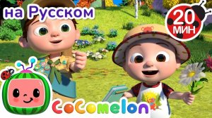 В путь с Джей-Джеем и Бинго — узнаём природу! 🌿🐾# CoComelon на русском — Детские песенки
