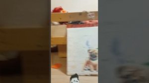 1000000872.mp4