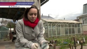 Наш корреспондент Татьяна Плахина рассказала, как нижегородцы отметили 1 мая