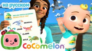Морские Животные  🐬🐠 # CoComelon на русском — Детские песенки