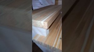 1000057349.mp4 (Собака наблюдает за устройством лестницы на 2-ой этаж в доме А-фрейм)