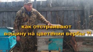 результат отстройки вощины на цветение вербы