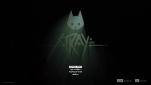 Stray #6