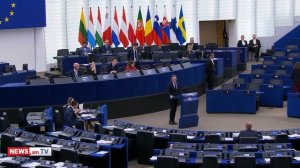 Имеет ли шансы «Дог» стать кандидатом в депутаты в Армении  «Итоги дня»  30.04.2026 -