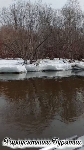 Сердце рыбака