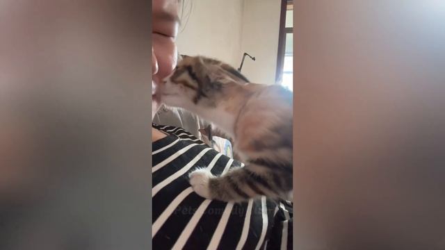 приколы с животными 89