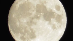 01.05.2026 Flower Full Moon 00-44 msk