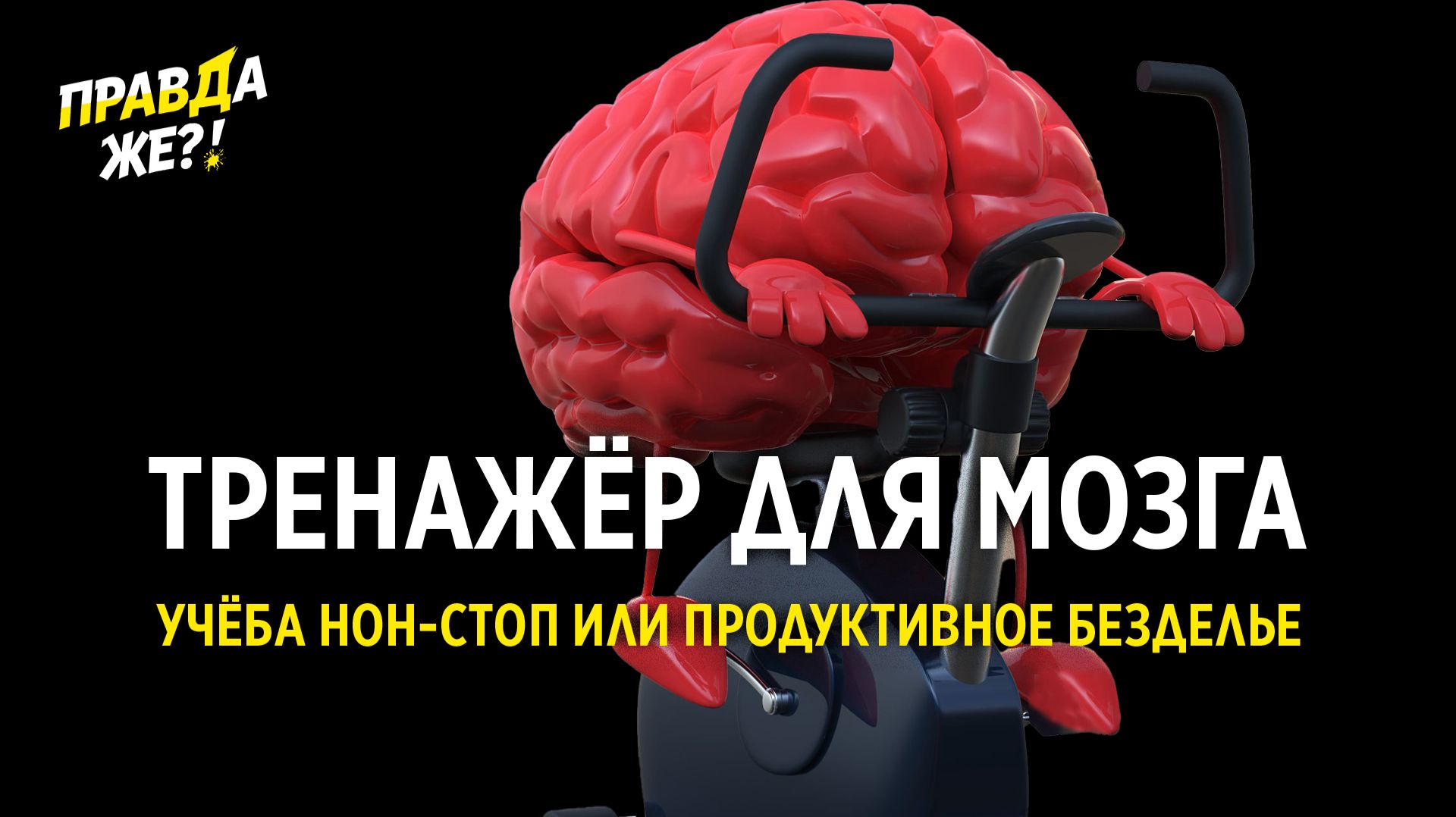 Тренажер для мозга. Учеба нон-стоп или продуктивное безделье | ПРАВДА ЖЕ?!