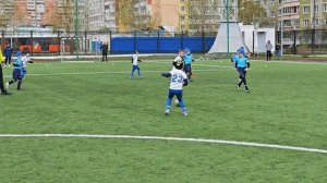 шортс фшм-парус 2026