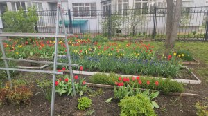 Праздник 1 мая //Труд май 🌷