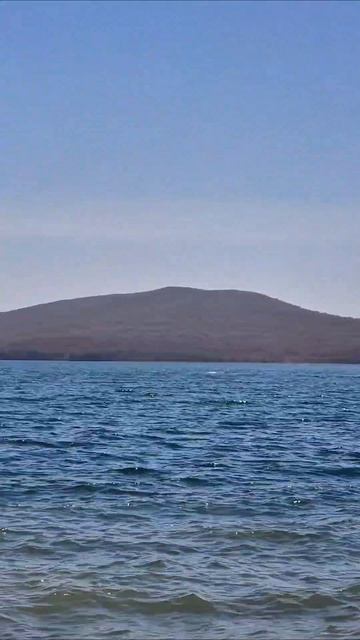 Морько Японское волнуется ждет вас на прогулки🌊 И мы тоже ждем, приезжайте во Владивосток 🫶 #dvacapi