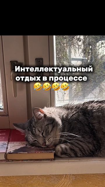Мой🥰
