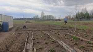 2 ч. 28.04.2026/ огородные работы
