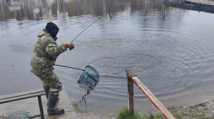 Светлые Горы Форель2 01.05.2026г.