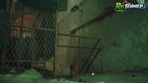 ФИНАЛ Прохождение: Stray. Часть 6