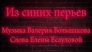 ИЗ СИНИХ ПЕРЬЕВ... |Песня на стихи Елены Есауловой| |Музыка Валерия Большакова| БЕЗ ПОМОЩИ ИИ
