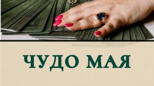 Чудо мая ?