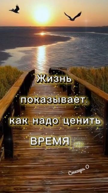 Добрый вечер