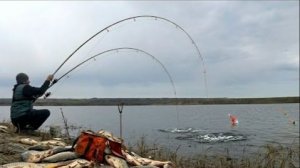 ОН ТУТ ГОТОВ НА ГОЛЫЙ КРЮЧОК КЛЕВАТЬ рыбалка на поплавок весной